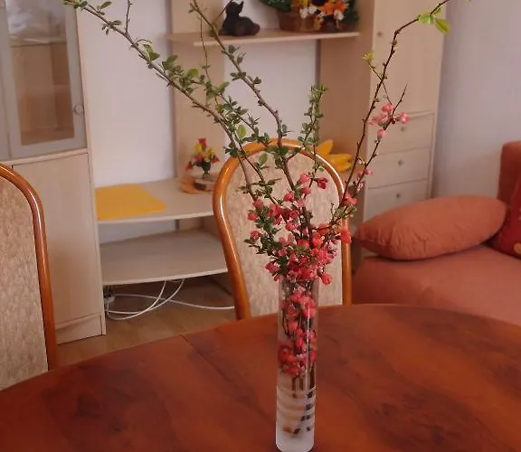 Am Romerhof Hotel Bonn